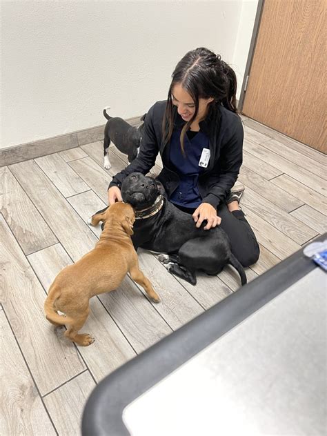 Chino hills animal hospital - Read 1201 customer reviews of Chino Hills Small Animal Hospital, one of the best Pet Sitting businesses at 3415 Chino Ave, Chino, KY 91710 United States. Find reviews, ratings, directions, business hours, and book appointments online.
